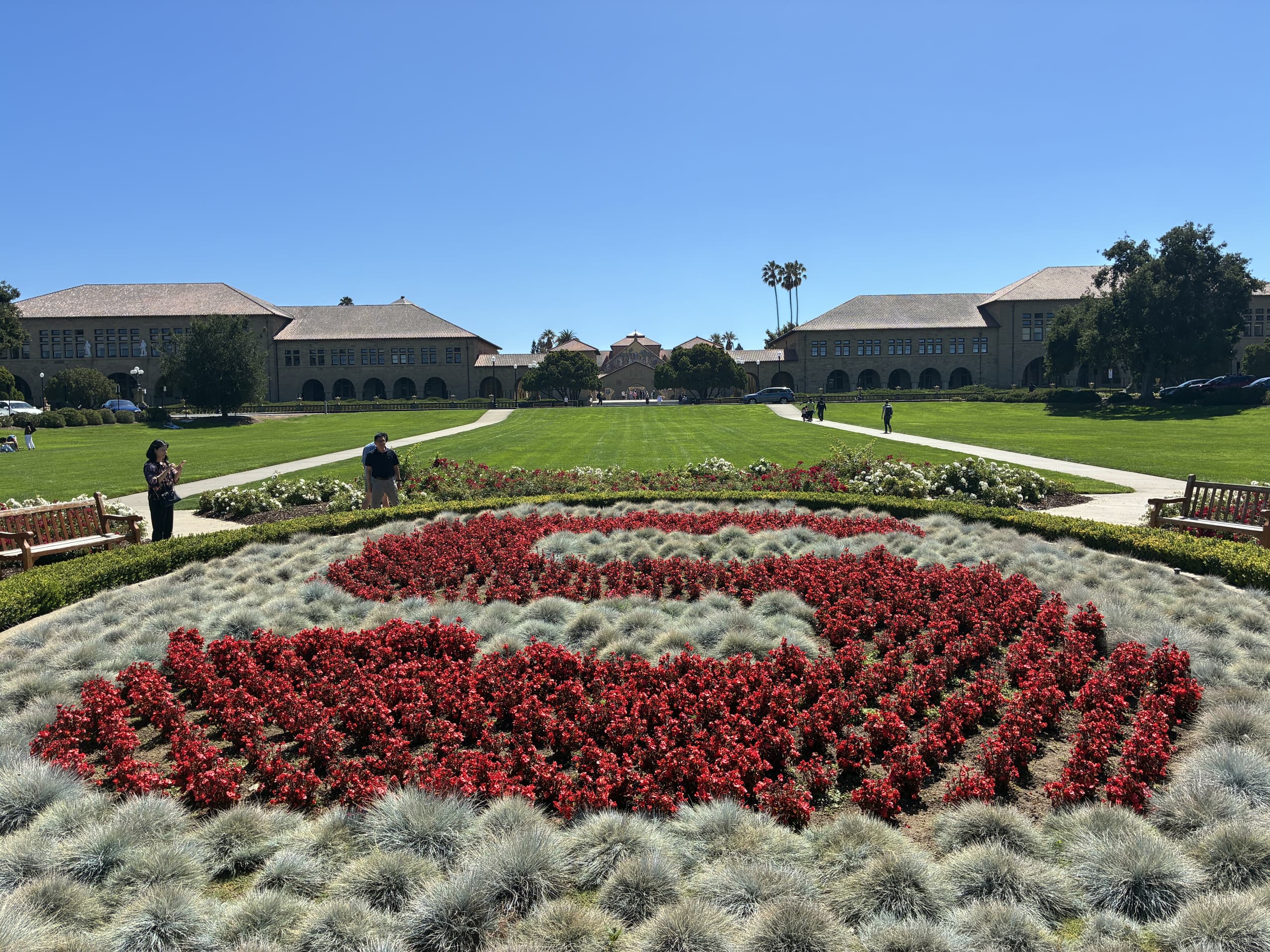 Stanford red S